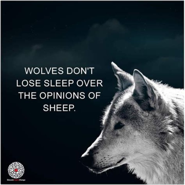 Are You a Wolf or a Sheep?