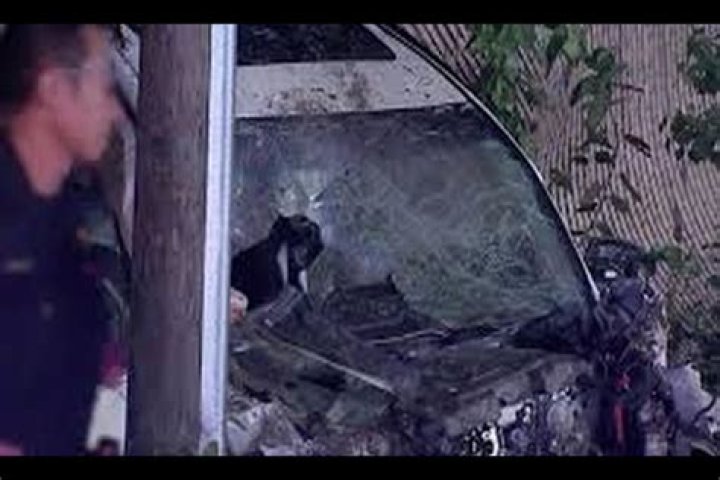 Basel Gobran Cause of death?