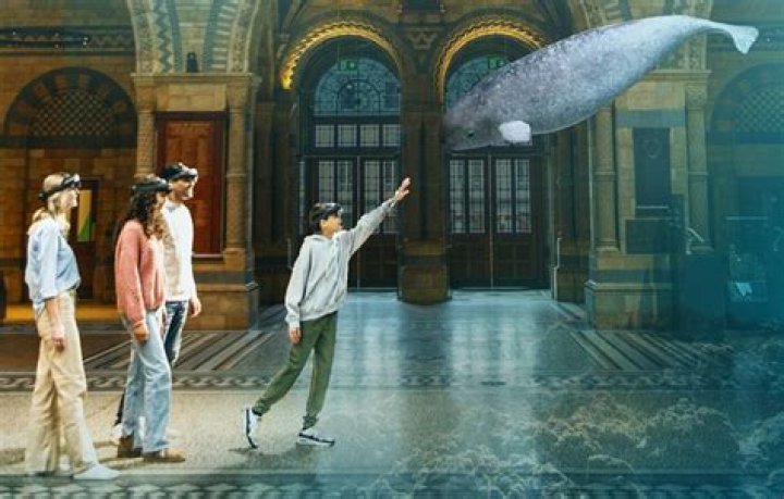 Fearsome display at a natural history museum, for short Crossword Clue NYT