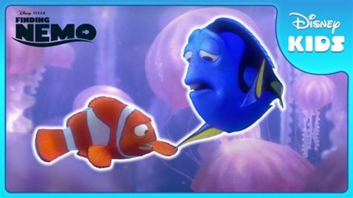 Fish sought by Marlin and Dory in a Pixar film Crossword Clue LA Times