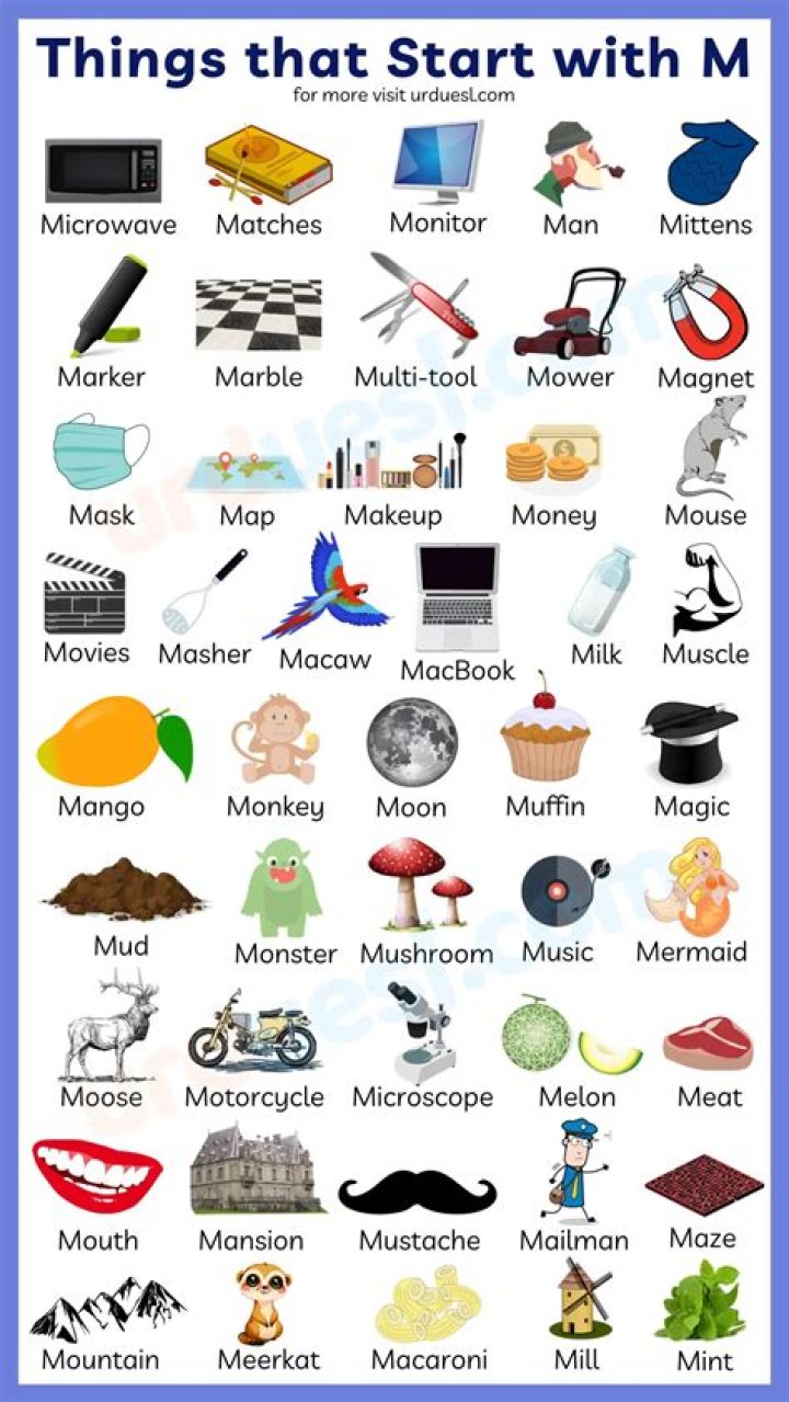 Objects That Start With M, List Of 30+ Objects That Start With M