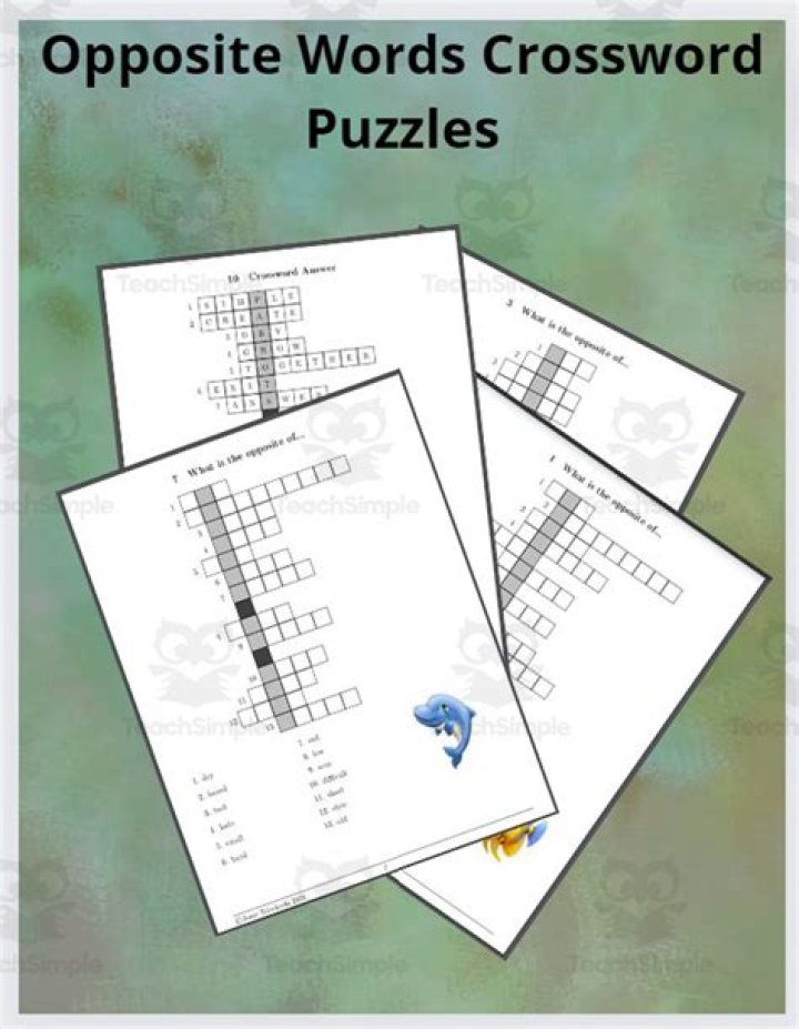 Opposite of SSW Crossword Clue NYT