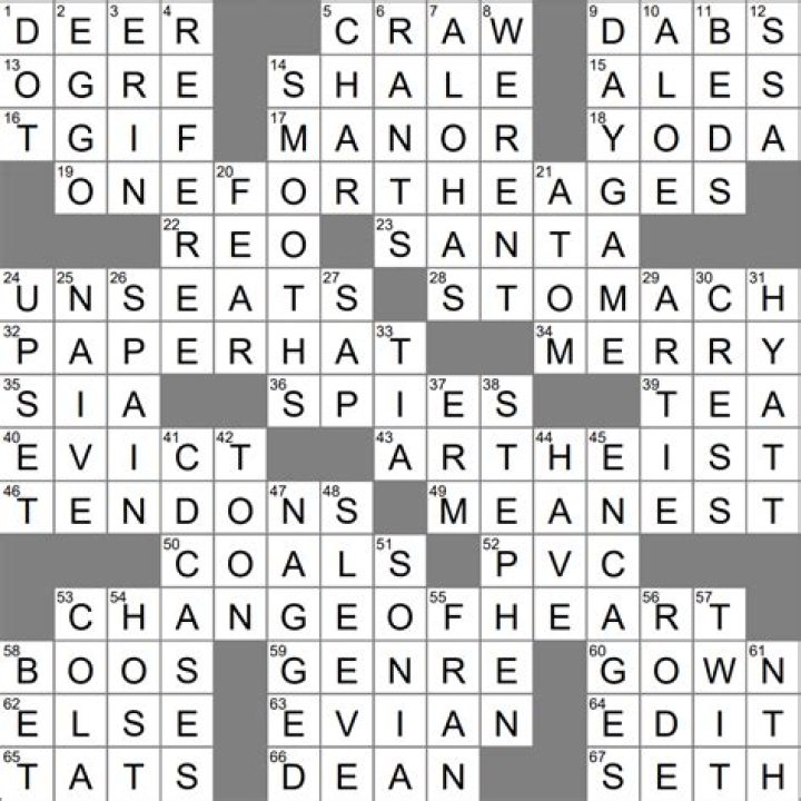Travel by private jet, say Crossword Clue NYT