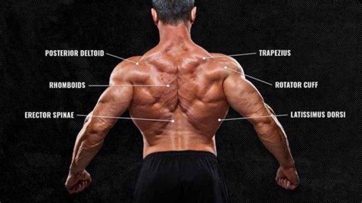 What Kind Of Specialist Should I See To Strengthen Back Muscles?